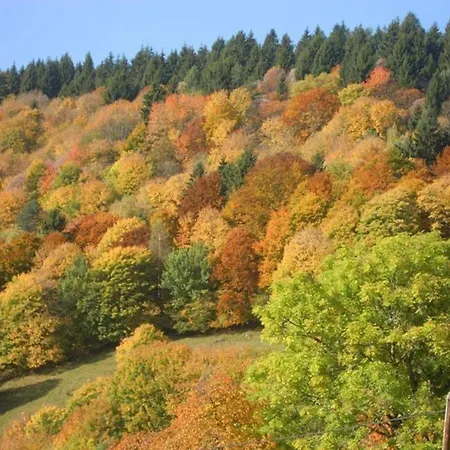 Les Hirondelles * Orbey